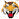 az-tiger-head